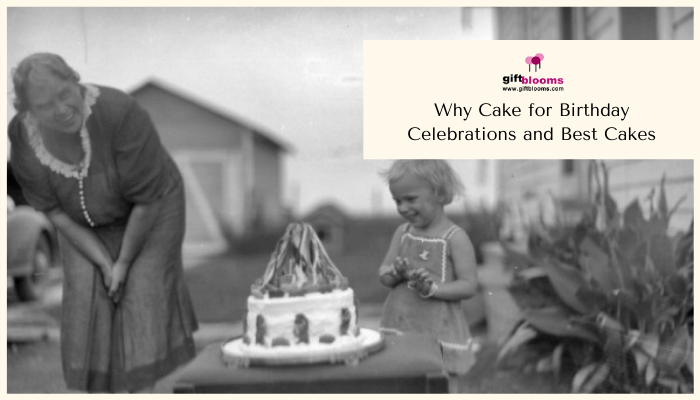 Cake History Cake History