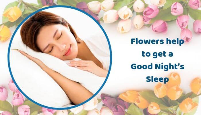 Flowers help to get a Good Night’s Sleep