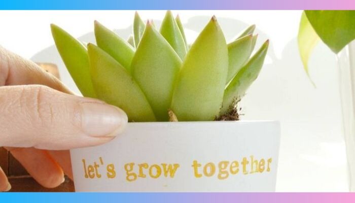 Get a Meaningful Gift