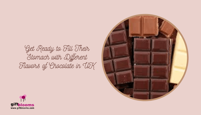 Get Ready to Fill Their Stomach with Different Flavors of Chocolate in UK Get Ready to Fill Their Stomach with Different Flavors of Chocolate in UK
