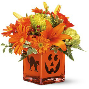 Happy Haunting