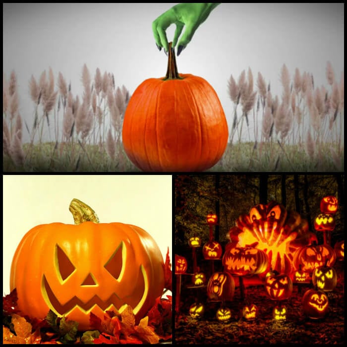 History of the Jack O’ Lanterns