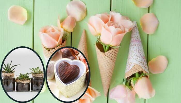 Plant and Candy Bouquet