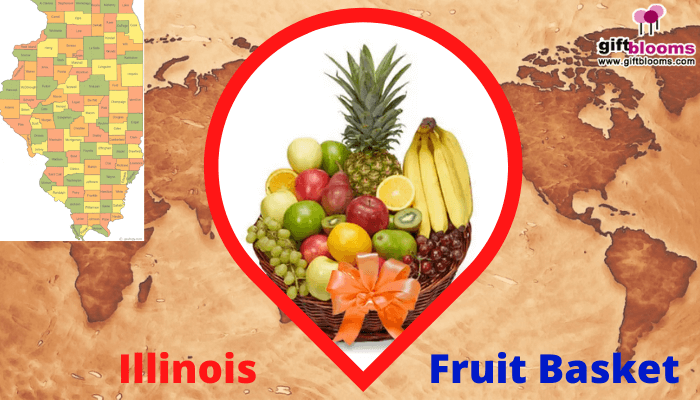 Illinois- Fruit Basket