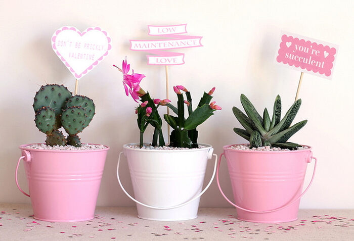 Instead of a Bouquet of Flowers
