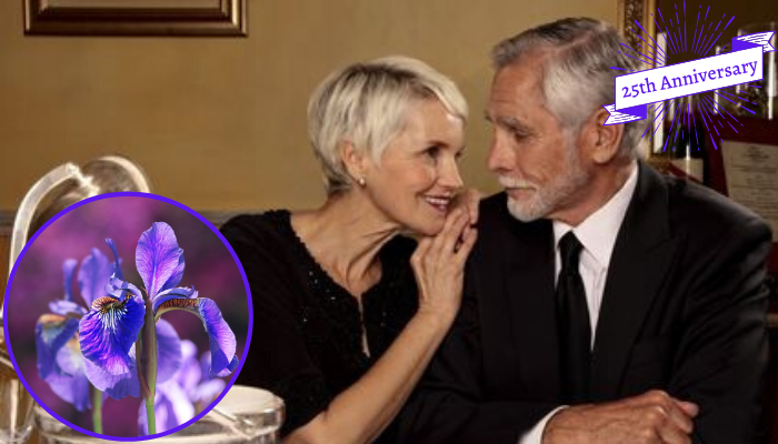 Iris: 25th Anniversary