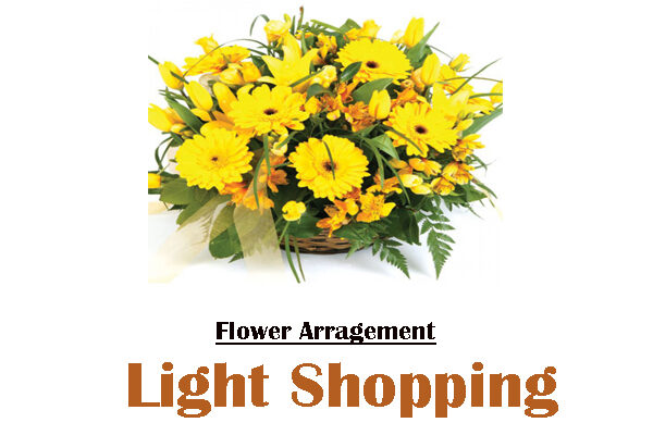 Light Shopping