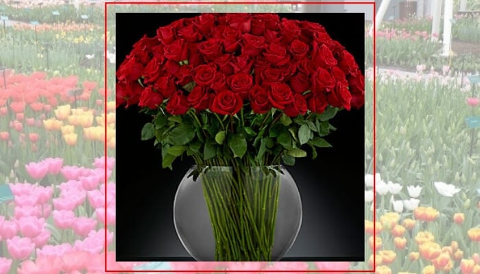 Long Stemmed Roses