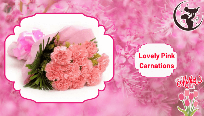 Lovely Pink Carnations