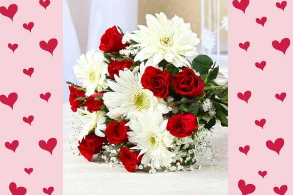 gerberas