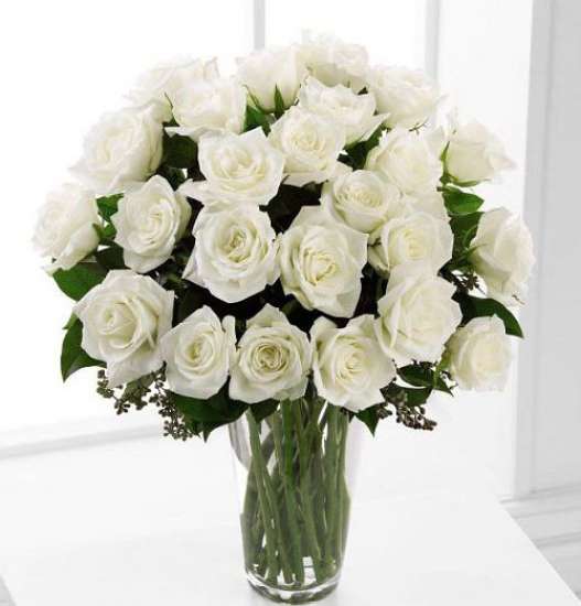 Loves Embrace Roses White