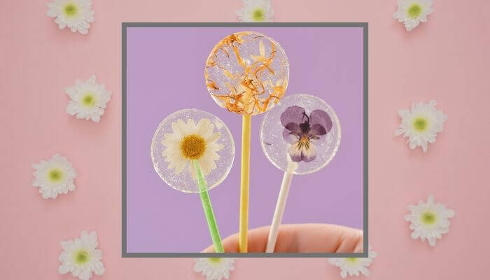 Make Lollipops