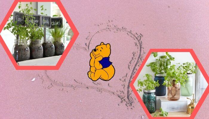 Mason Jar Indoor Flower Garden