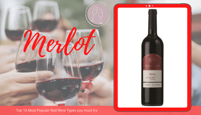 Merlot Red Wine