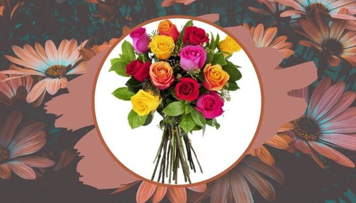 Mix color Roses