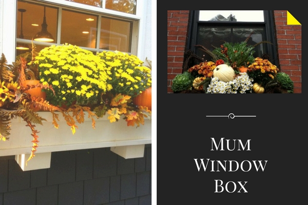 Mum Window Box