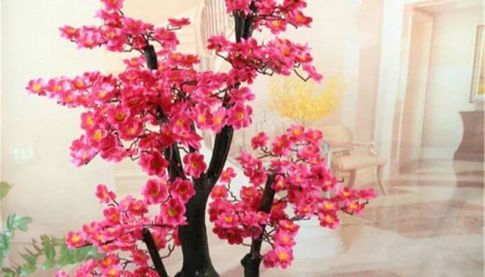 Peach Blossoms