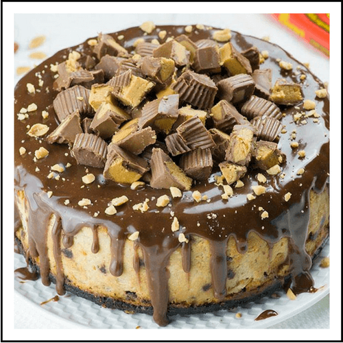Peanut Buttercup Cheesecake