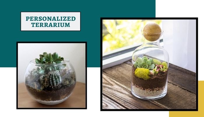 Personalized Terrarium