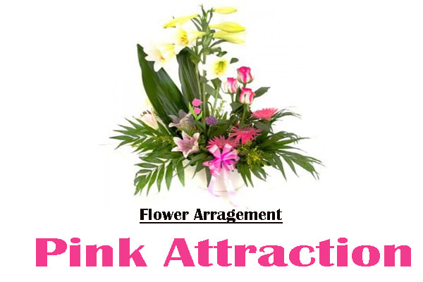 Pink Attraction Arrangement