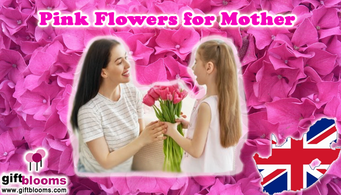 Pink Flowers to give on Mother’s Day in the UK