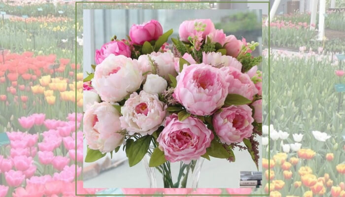 Pink Peonies