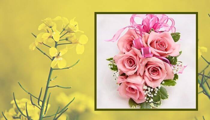 Pink Rose Corsage