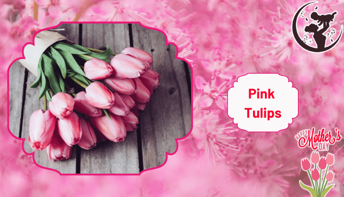 Perfect Pink Tulips