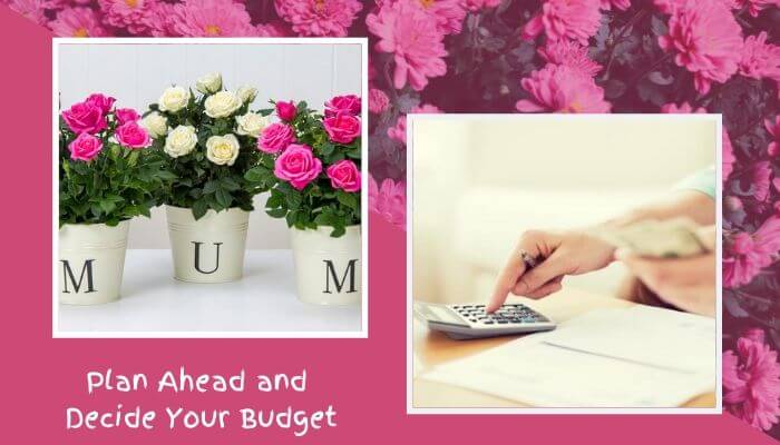 Plan Ahead and Decide Your Budget