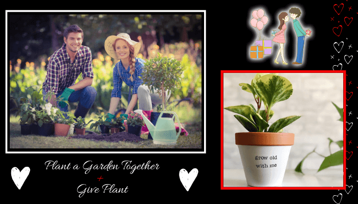 Plant a garden together + Give Plant