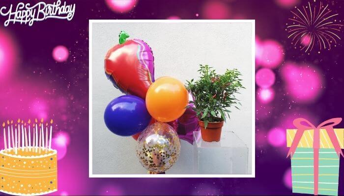 Plant and Balloons