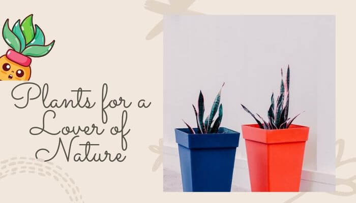 Plants for a Lover of Nature