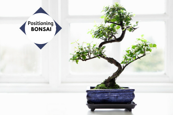 Positioning Bonsai