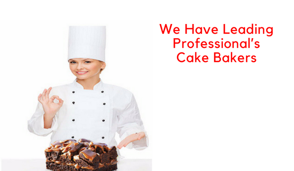 professional cake bakers