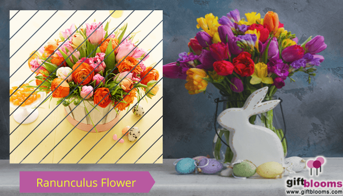 Ranunculus Easter Flower