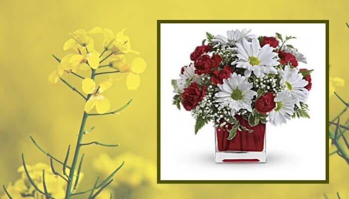 Red and White Delight Bouquet