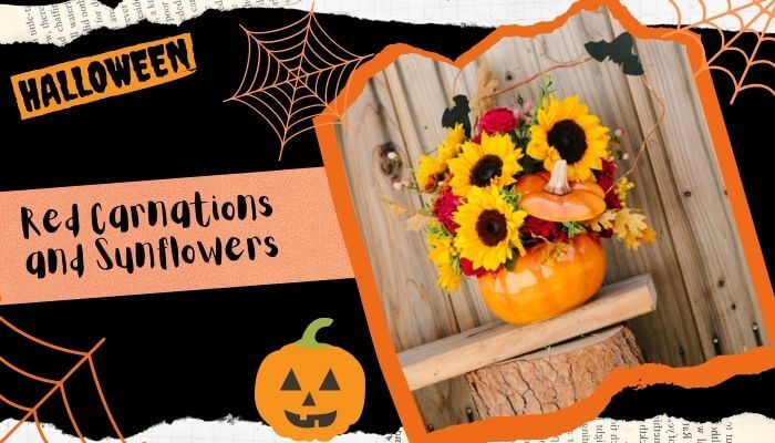 Red Carnations and Sunflowers