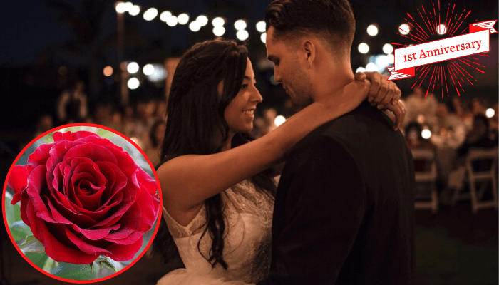Red Rose: 1st Anniversary