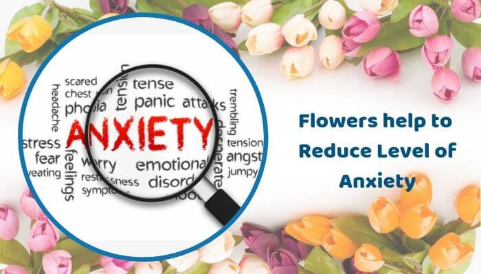 Flowers help to Reduce the Level of Anxiety