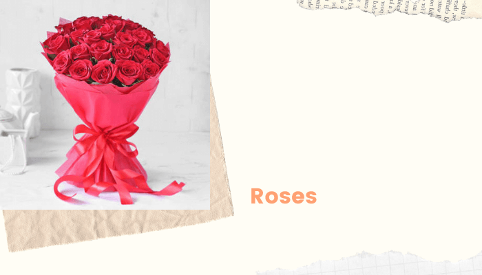Roses