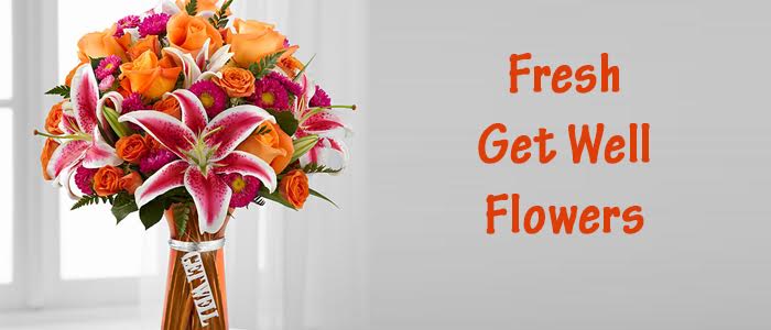 Show Your Care With Fresh Get Well Soon Flowers