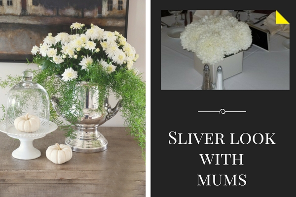 Sliver Look With Mums