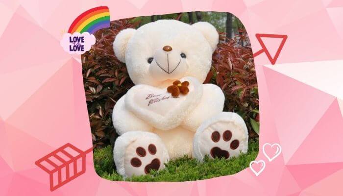 Soft Teddy Bear