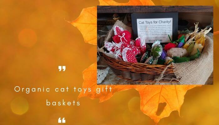 Organic cat toys gift baskets