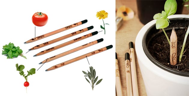 Sprout Pencils