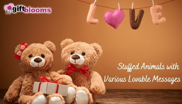 Top 7 Best Stuffed Animals with Various Lovable Messages