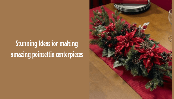 Stunning Ideas for making amazing poinsettia centerpieces