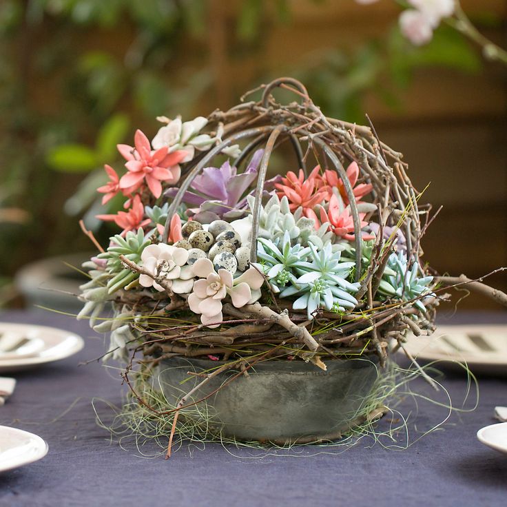 Succulent Centerpiece for Easter Succulent Centerpiece for Easter