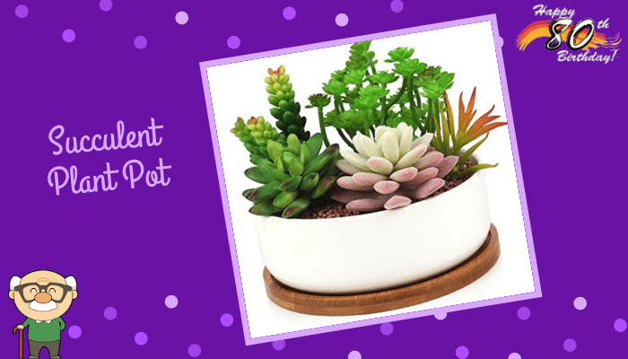 Succulent Plant Pot