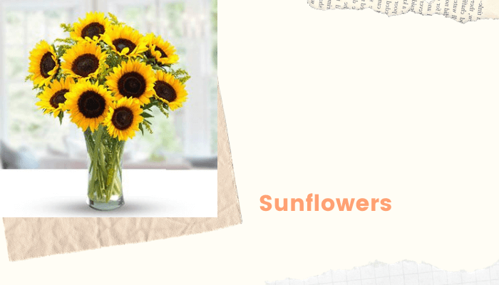"Sunflowers